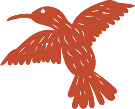 un Colibri que disfruta las mieles de nuestro agave